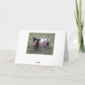 秋のハッピーバースデーのヴァーモントのヒツジ カード (裏面)