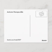 秋のハニーサックル~はがき ポストカード (裏面)