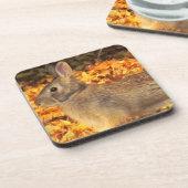 秋のバニー コースター (左側)