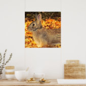 秋のバニー ポスター (キッチン)