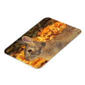 秋のバニー マグネット (左側)