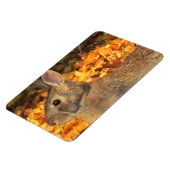 秋のバニー マグネット (左側)