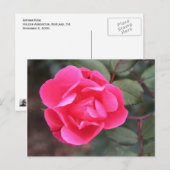 秋のバラ ポストカード (正面/裏面)