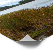 秋のバーモント島の池 ポスター (角)