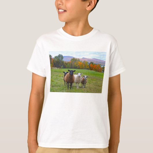 秋のバーモント羊 Tシャツ (正面)