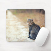 秋のパス虎猫 マウスパッド (マウス)