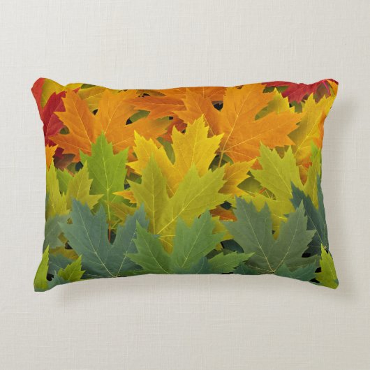 秋のパターン2 アクセントクッション (正面)