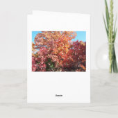 秋のパリパリ カード (裏面)