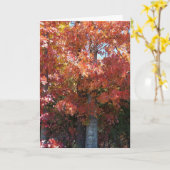 秋のパリパリ カード (黄色い花)