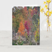 秋のパレット カード (黄色い花)