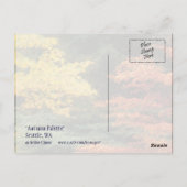 秋のパレット ポストカード (裏面)