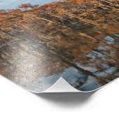 秋のヒノキの木アットカドレイクプリント フォトプリント            (角)