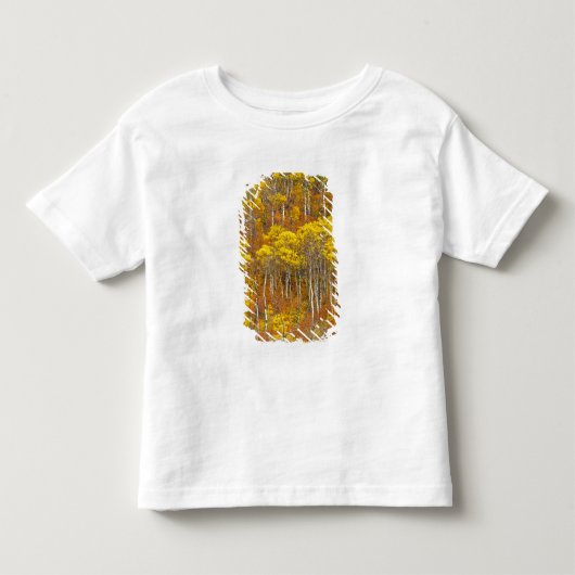秋のピーク色の《植物》アスペン林の縮れ トドラーTシャツ (正面)