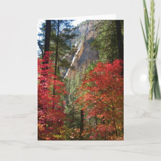 秋のファンタジー(14)の挨拶状 カード (正面)