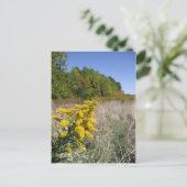 秋のフィールドはがき ポストカード (スタンド正面)