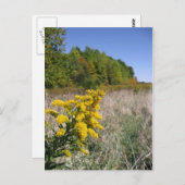 秋のフィールドはがき ポストカード (正面/裏面)