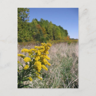 秋のフィールドはがき ポストカード