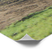 秋のフィールドAdirondacks木のシーン風景 ポスター (角)