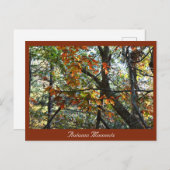 秋のフォトポストカード ポストカード (正面/裏面)