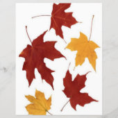 秋のフライヤー チラシ (裏面)