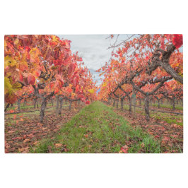 秋のブドウ メタルプリント