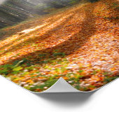 秋のブナの森の中のサンビーム –  ポスター (角)