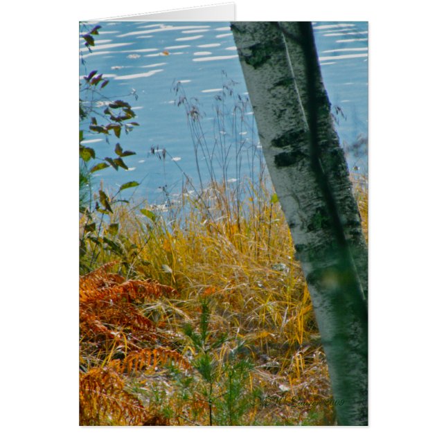 秋のブラシ (正面)