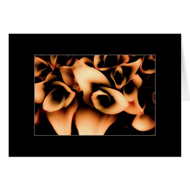 秋のブルマー (正面横)