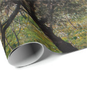 秋のプーリアの風景にオリーブの木。 ラッピングペーパー (ロールコーナー)