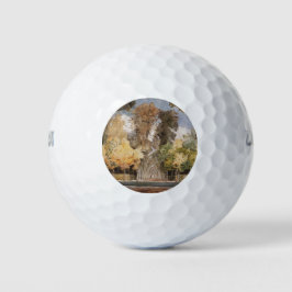 秋のベルサイユ公園(by Konstantin Somov) ゴルフボール