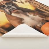 秋のボクサー犬 シェルパブランケット (3/4)