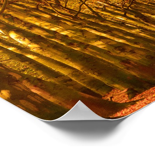 秋のポスターの森を歩くする道 ポスター (角)