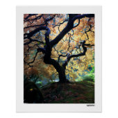 秋のポスター ポスター (正面)