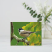 秋のポストカードのチチドリ ポストカード (スタンド正面)