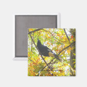 秋のマグパイ – マグネット (正面/裏面)