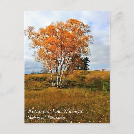 秋のミシガン湖はがき ポストカード (正面)