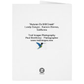 秋のミルクリーク (裏面)