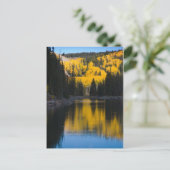 秋のメサ湖 ポストカード (スタンド正面)