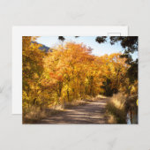 秋のメープルデル ポストカード (正面/裏面)