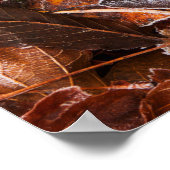 秋のメープル葉スポスター紙（マット） ポスター (角)