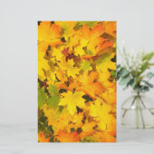 秋のメープル葉ス・スクラップブック紙 便箋 (スタンド正面)