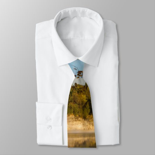 秋のモーニングネックタイの輝き ネクタイ (タイ)