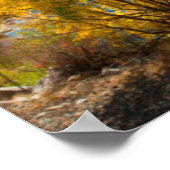 秋のヤムパ川 ポスター (角)