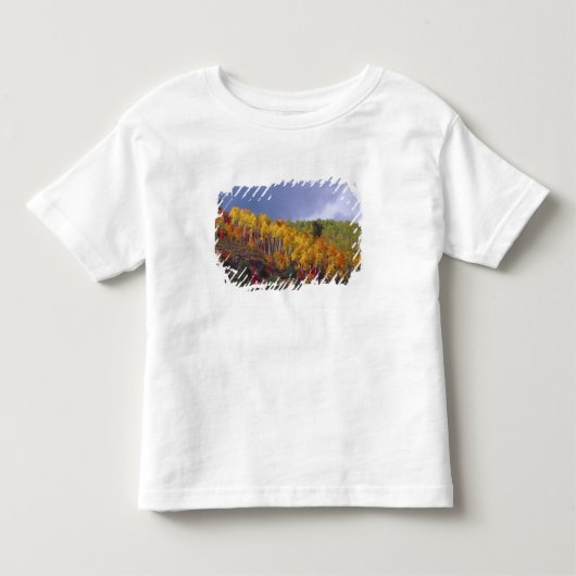 秋のユタ州ローガンキャニオンを通過する トドラーTシャツ (正面)