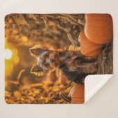 秋のヨークシャーテリアカップ シェルパブランケット (正面(横))