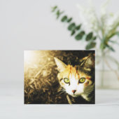 秋のライトタビー猫はがき ポストカード (スタンド正面)
