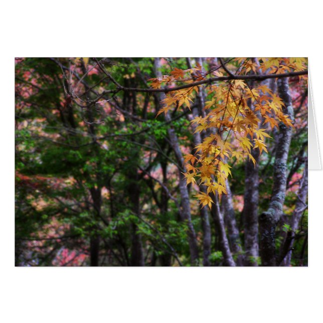 秋のラブカード (正面横)