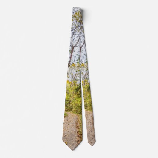 秋のランジュウォークネックタイ ネクタイ (正面)