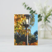 秋のランプのポスト ポストカード (スタンド正面)