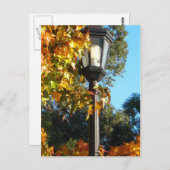 秋のランプのポスト ポストカード (正面/裏面)